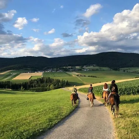 Appartmenthaus Kern 3*